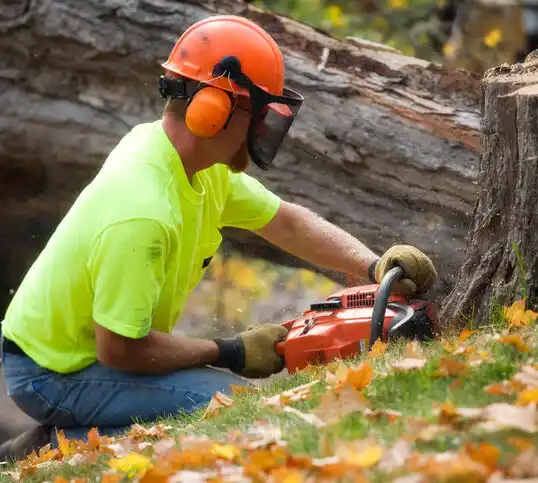 tree services Foscoe